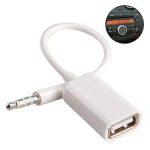 CABLE AUX TO USB ​